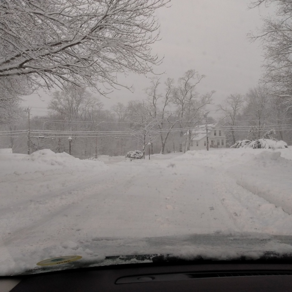 Meet your Posher, Patricia